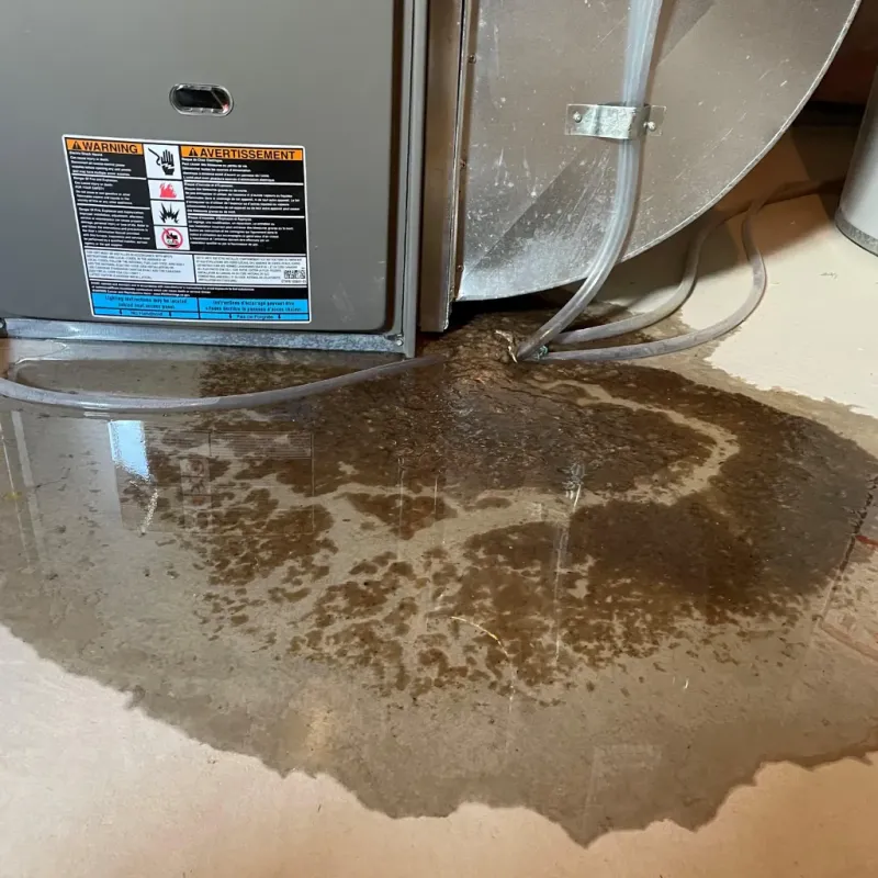 Appliance Leak Cleanup in Leith-Hatfield, PA